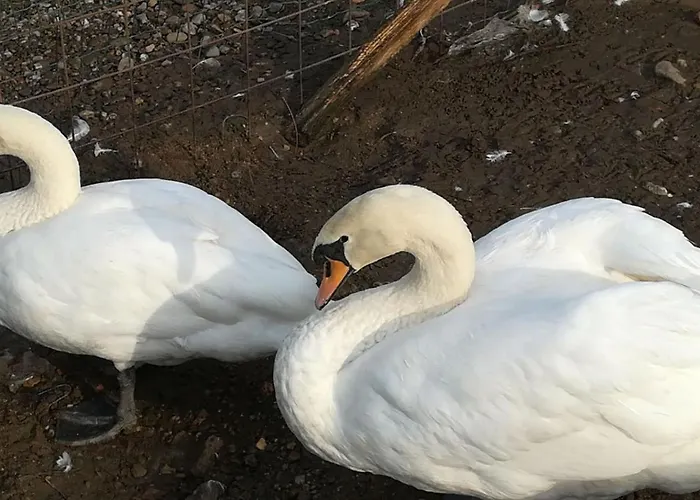 Casa vacanza: Agriturismo Dolce Luna